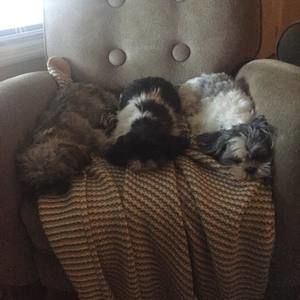 Meet your Posher, Katrina